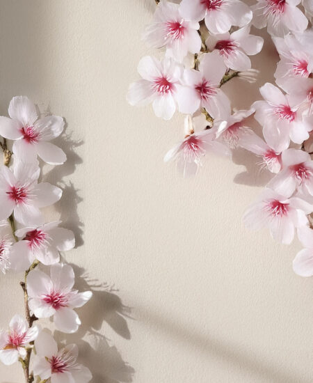 LaTana_Pasqua2026_home