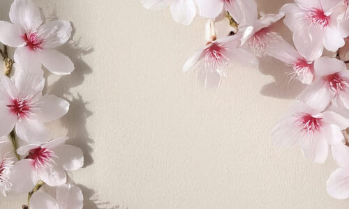 LaTana_Pasqua2026_home